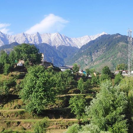 Mcleodganj Diaries Bed & Breakfast Dharamshala Exterior photo